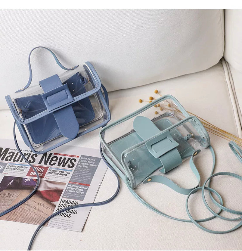 Transparent hand bag